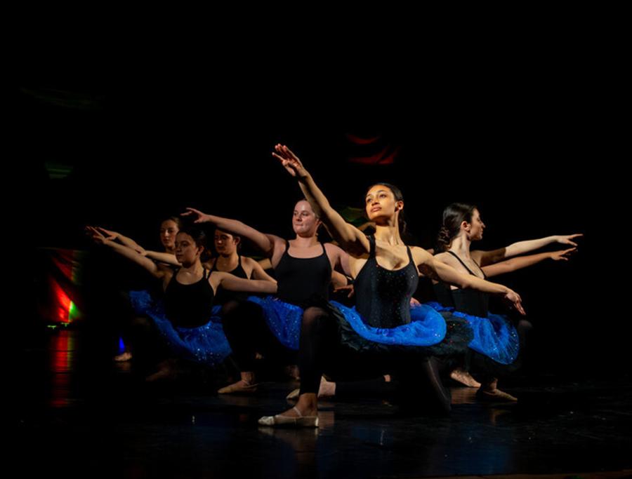 dance-school dance-school