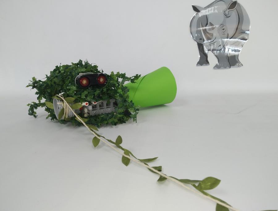 robotics_competition-winner