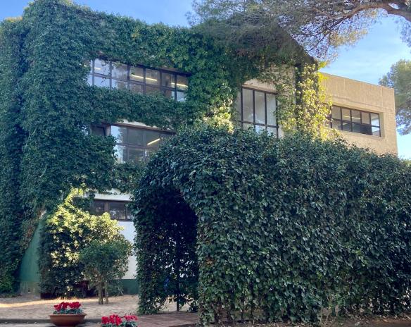 british_college_of_gava