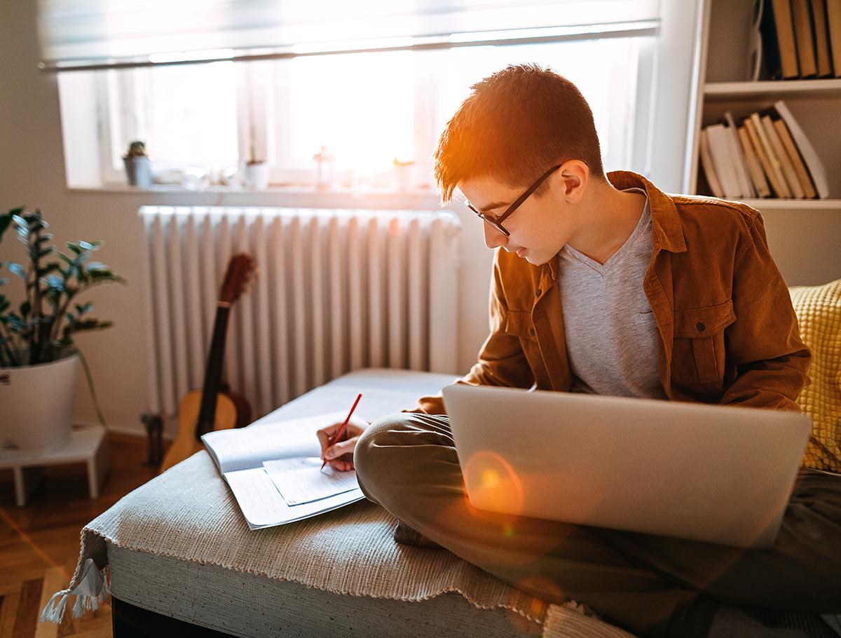 Virtual school lessons