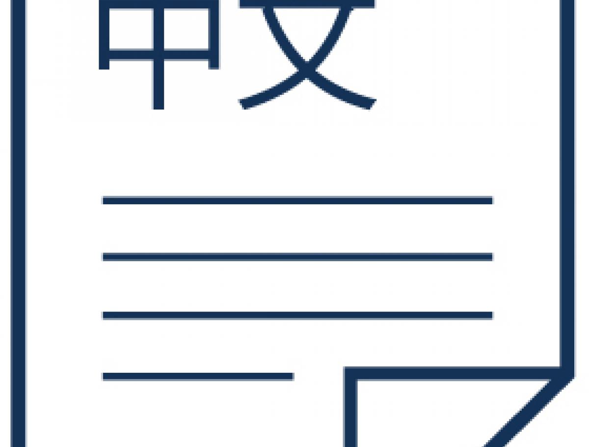 Virtual school Chinese