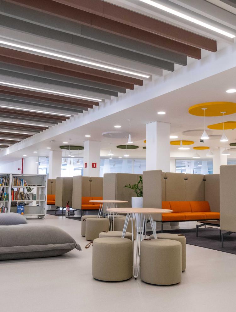 personalised-tour-sao-paulo