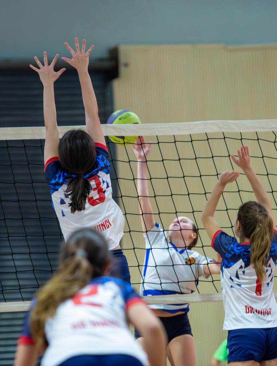 Eleva Exchange Activities