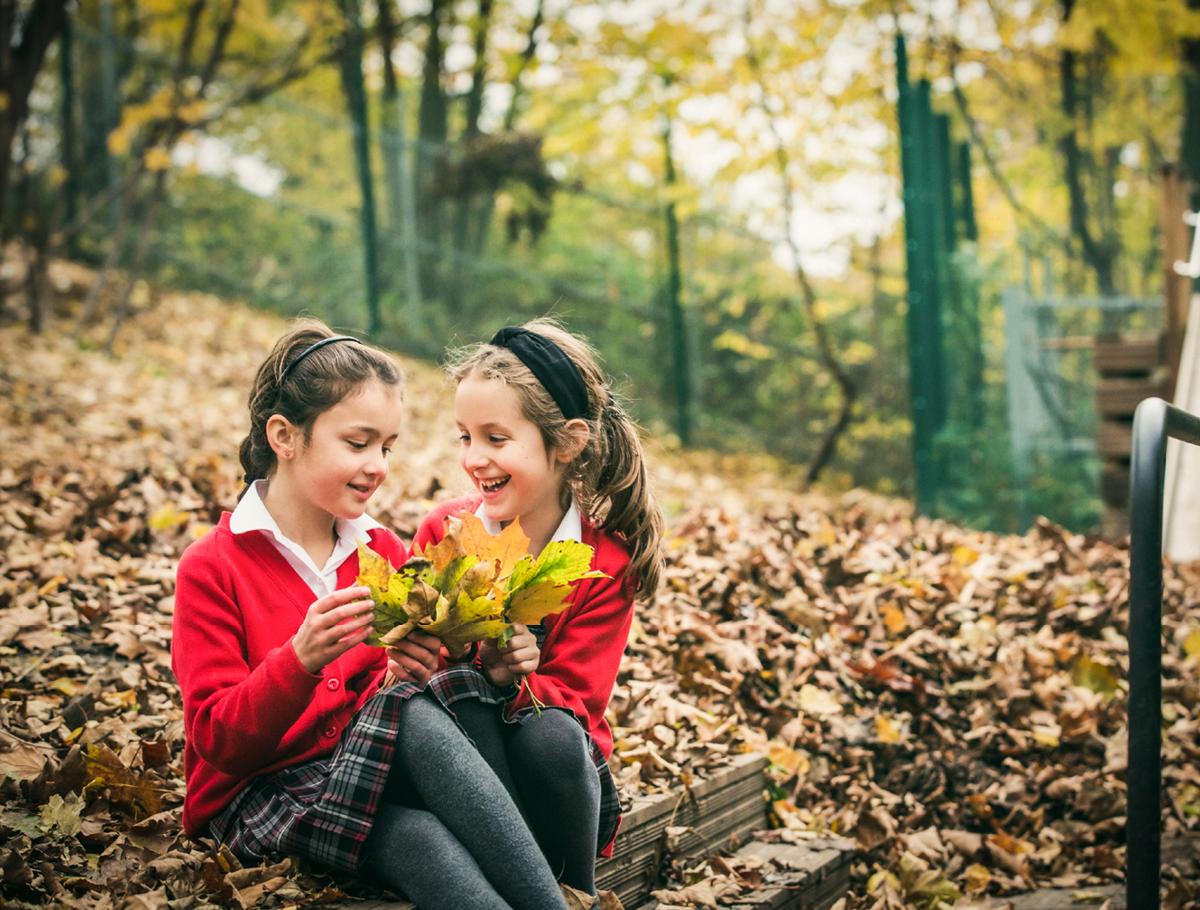 Respect and Tolerance