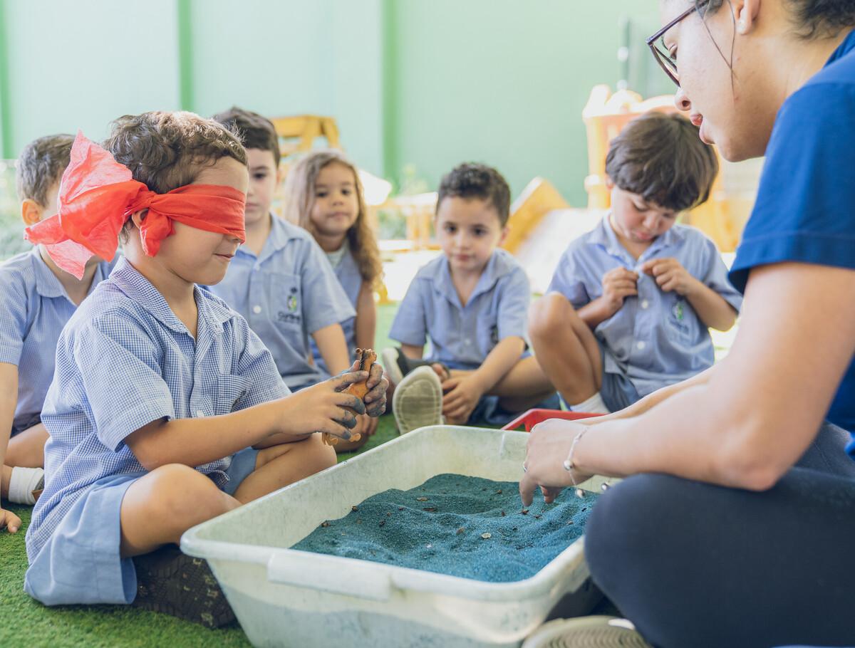 IB Education in State of Bahia