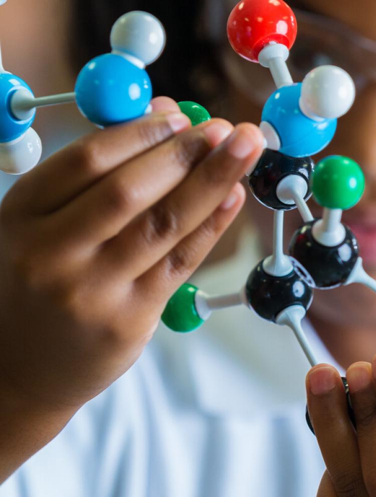 sixth form in Muscat 