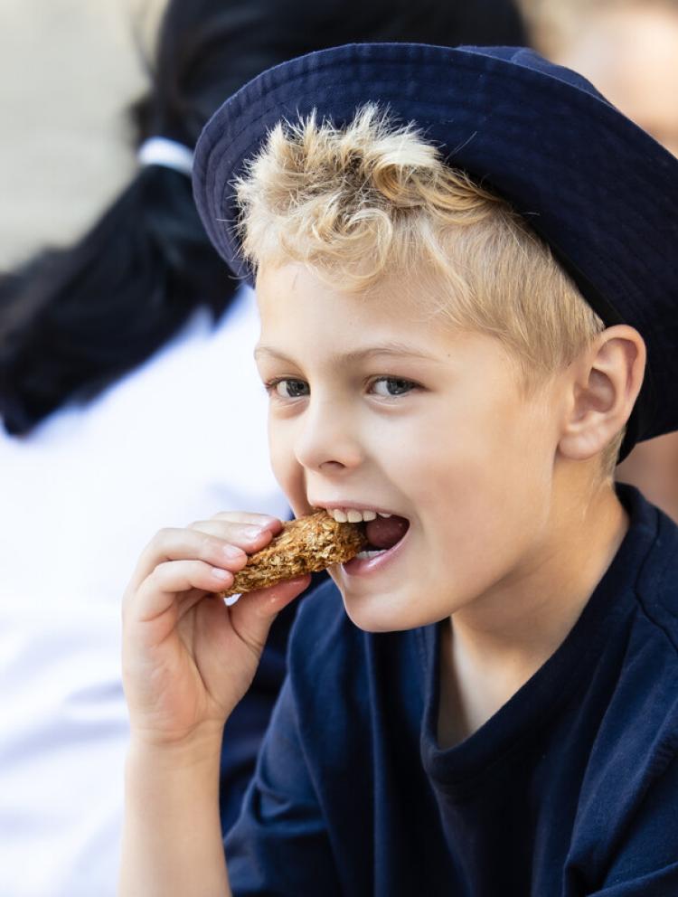 Catering & Nutrition