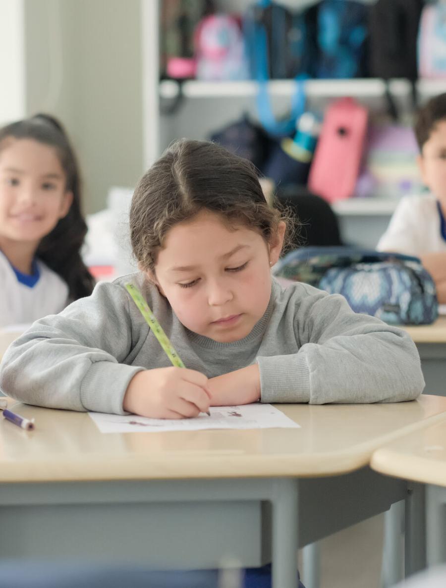 Chorrillos Escuela Primaria Bilingue