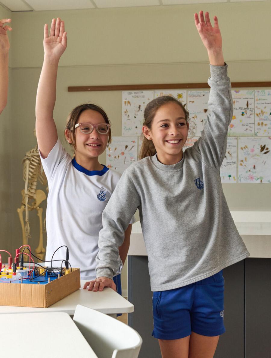 Curriculo de las Escuelas de Primaria cercanas