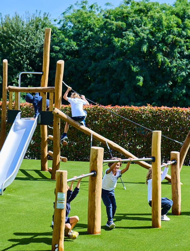 20+ Years of Excellence in Education