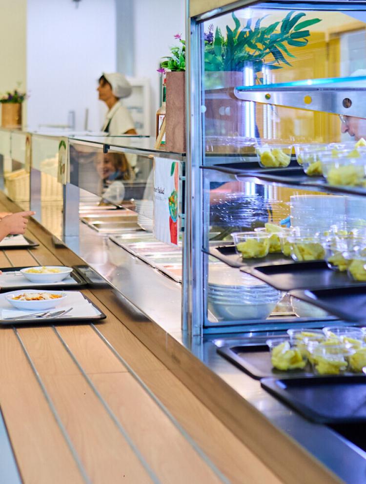 Catering & Nutrition