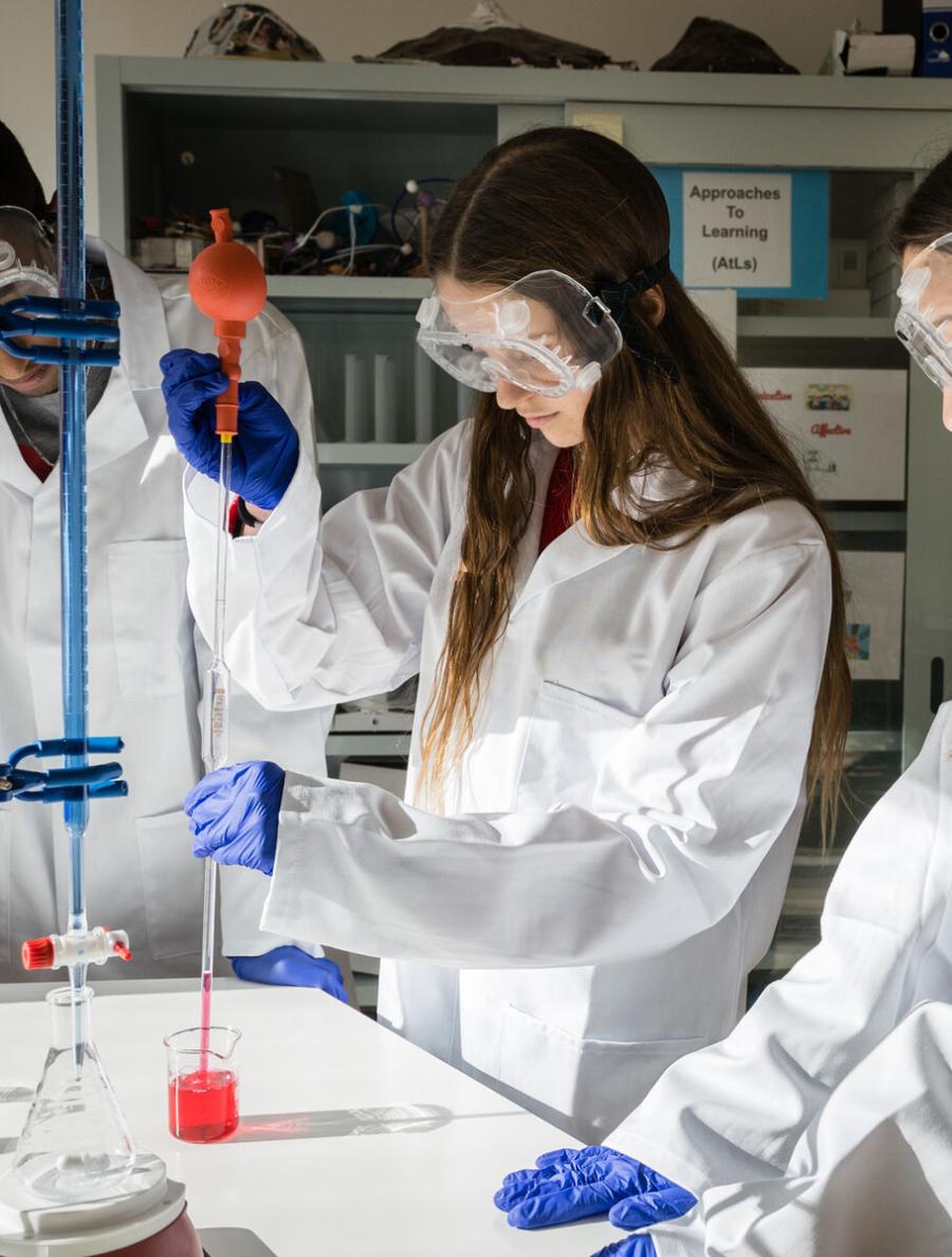 A Globally Renowned Programme