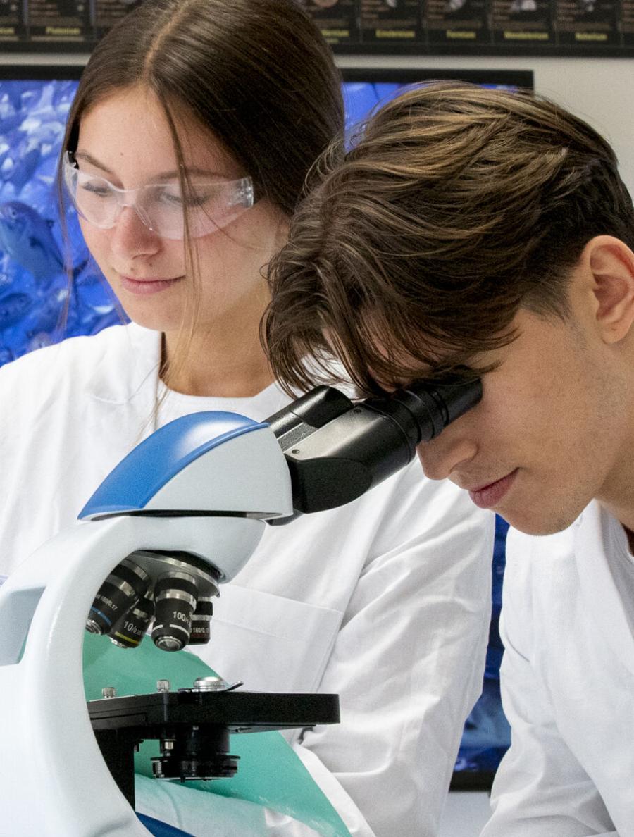 IB Continuum Schools di Monza