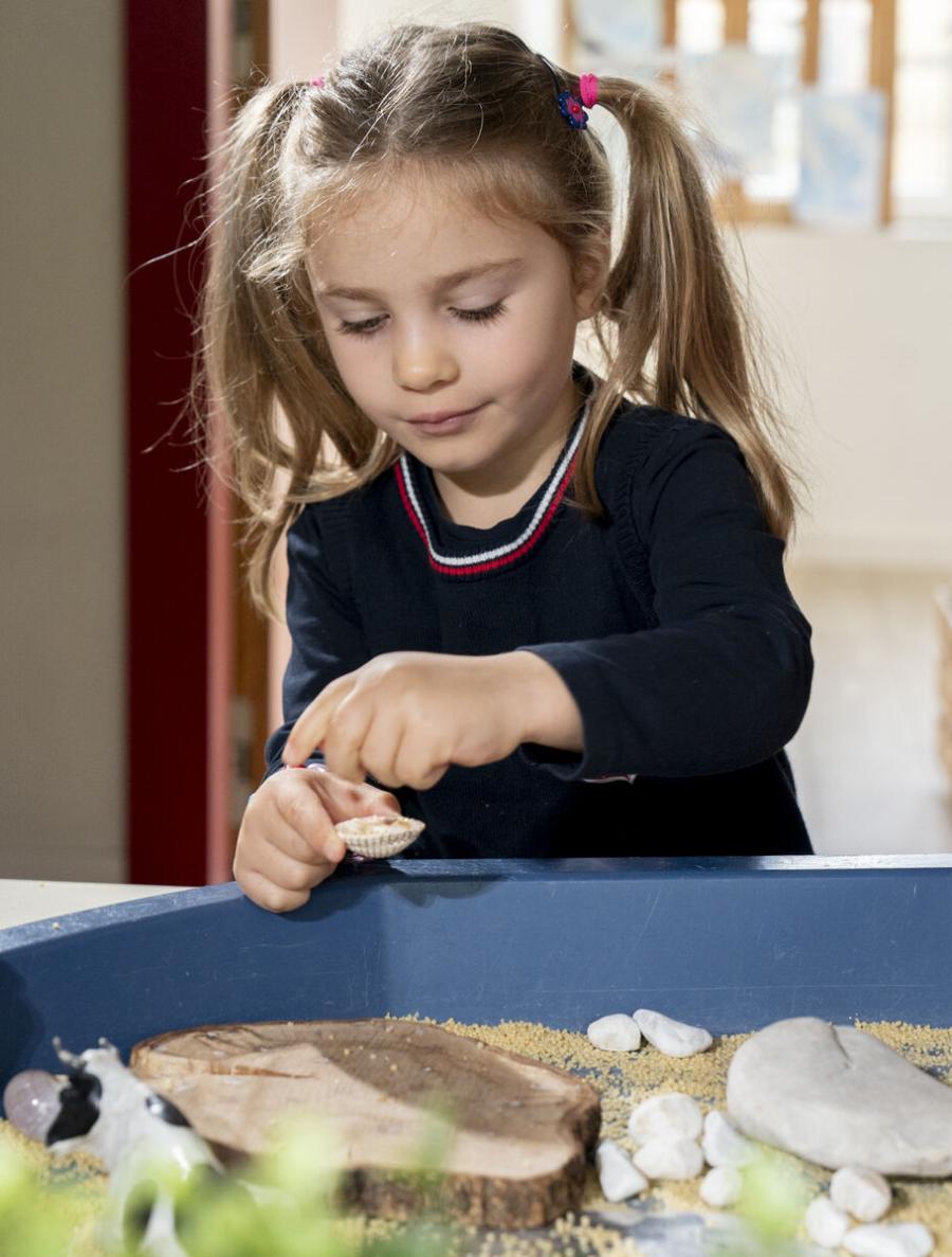 Programma di Formazione IB a Monza