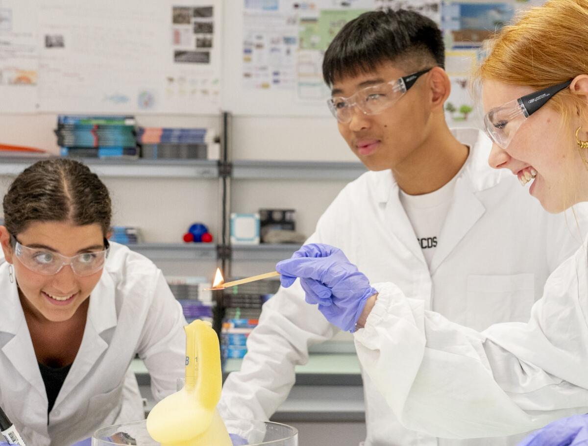 Scuole Superiori di Monza in Inglese