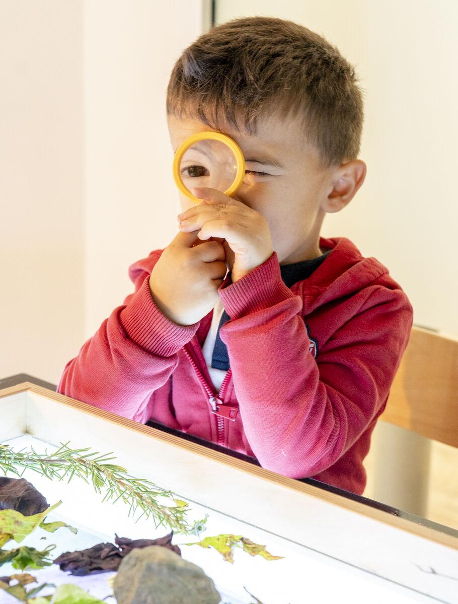 Migliori Scuole Materne a Monza