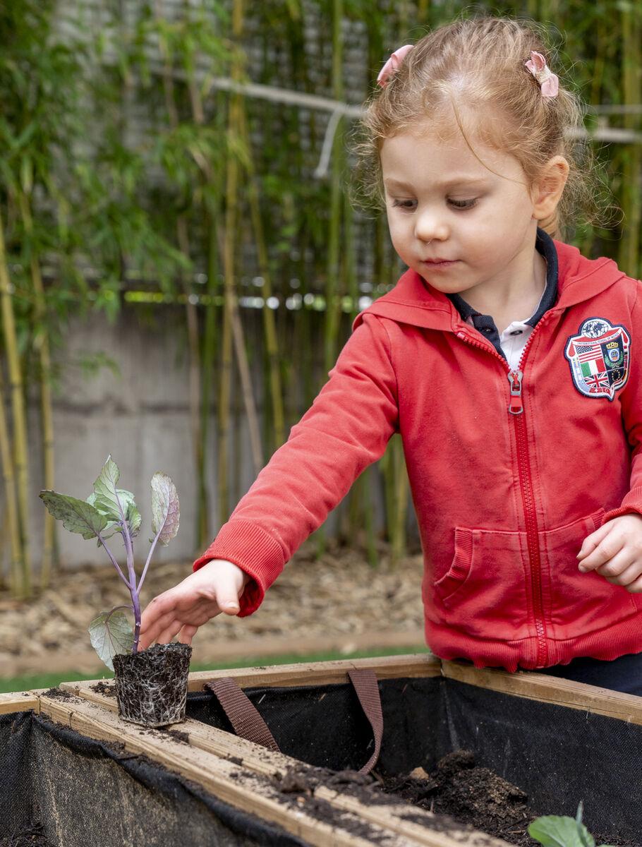 outdoor exploration in kindergarten