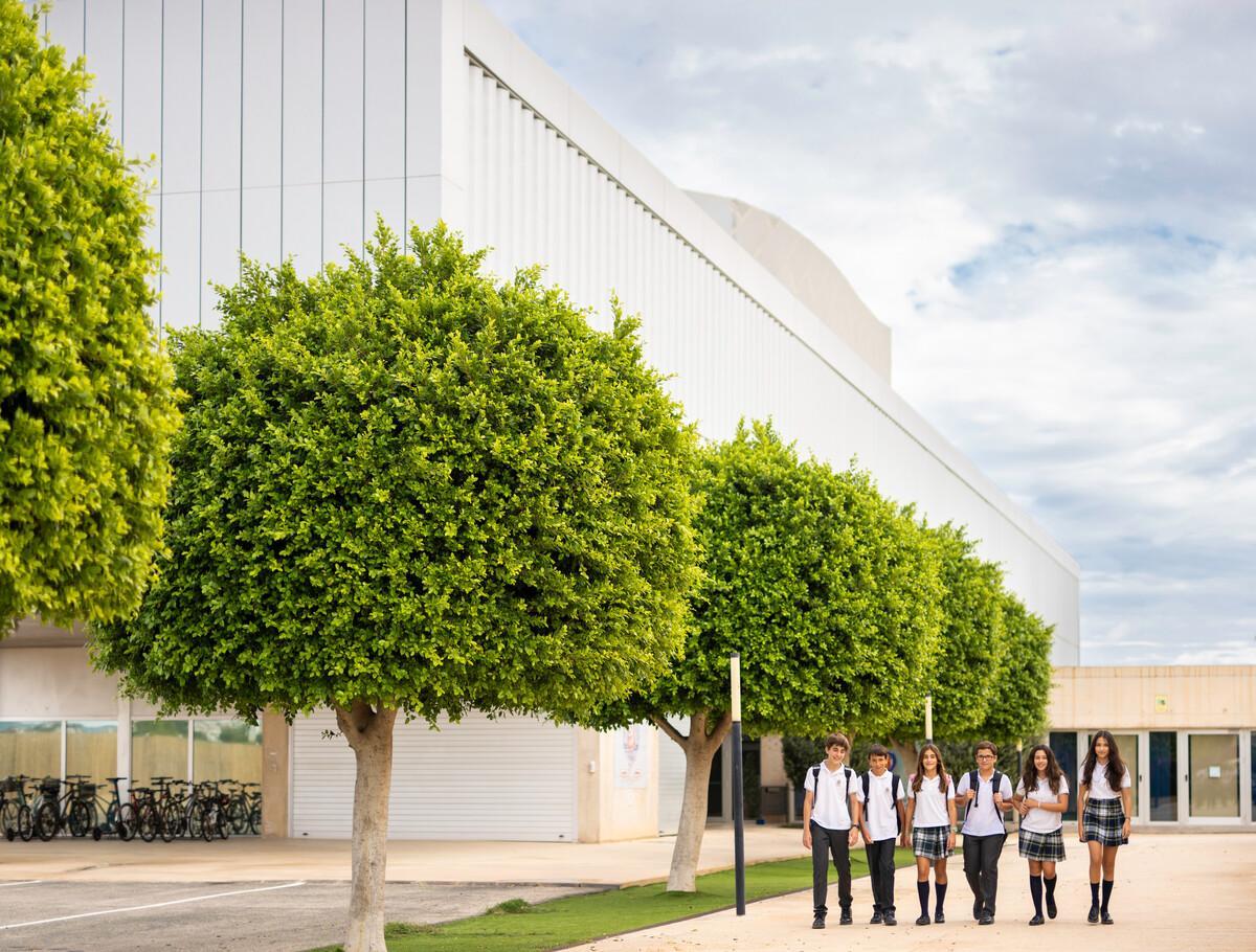 Colegios de Torre Pacheco
