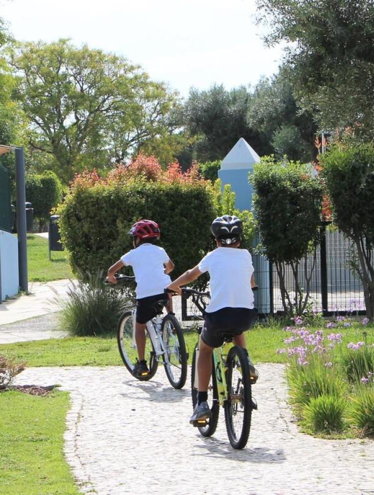School Transport