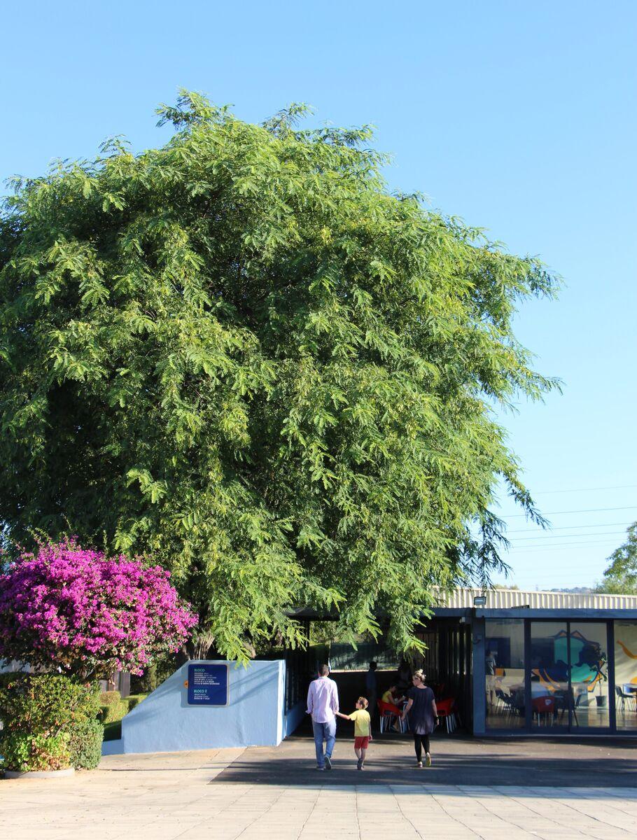 psycology_department
