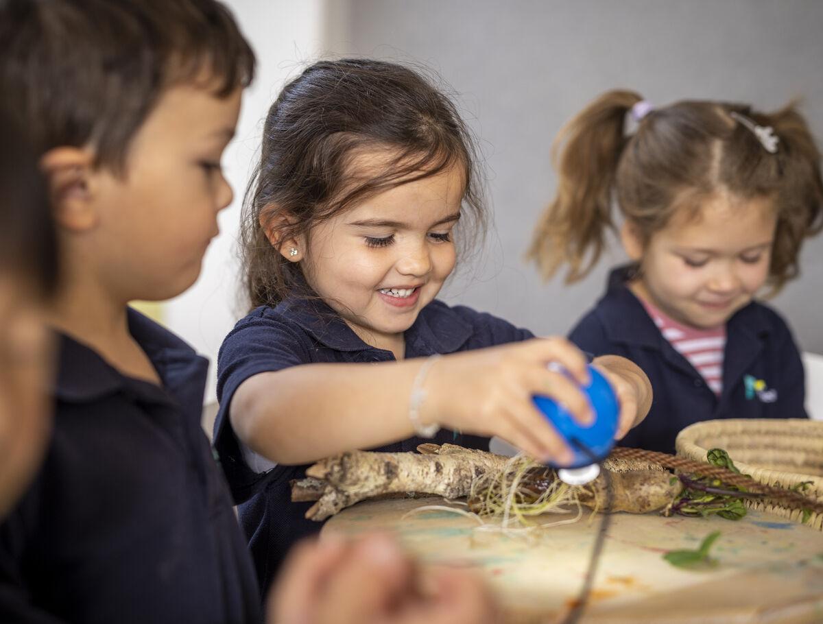 Parnell Kindergarten Curriculum