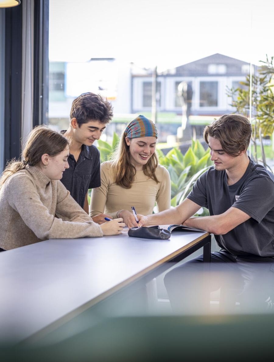 Schools of Auckland to prepare for university