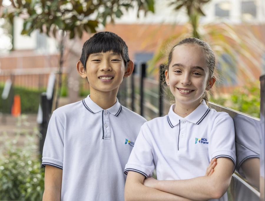 parnell_primary_enquire