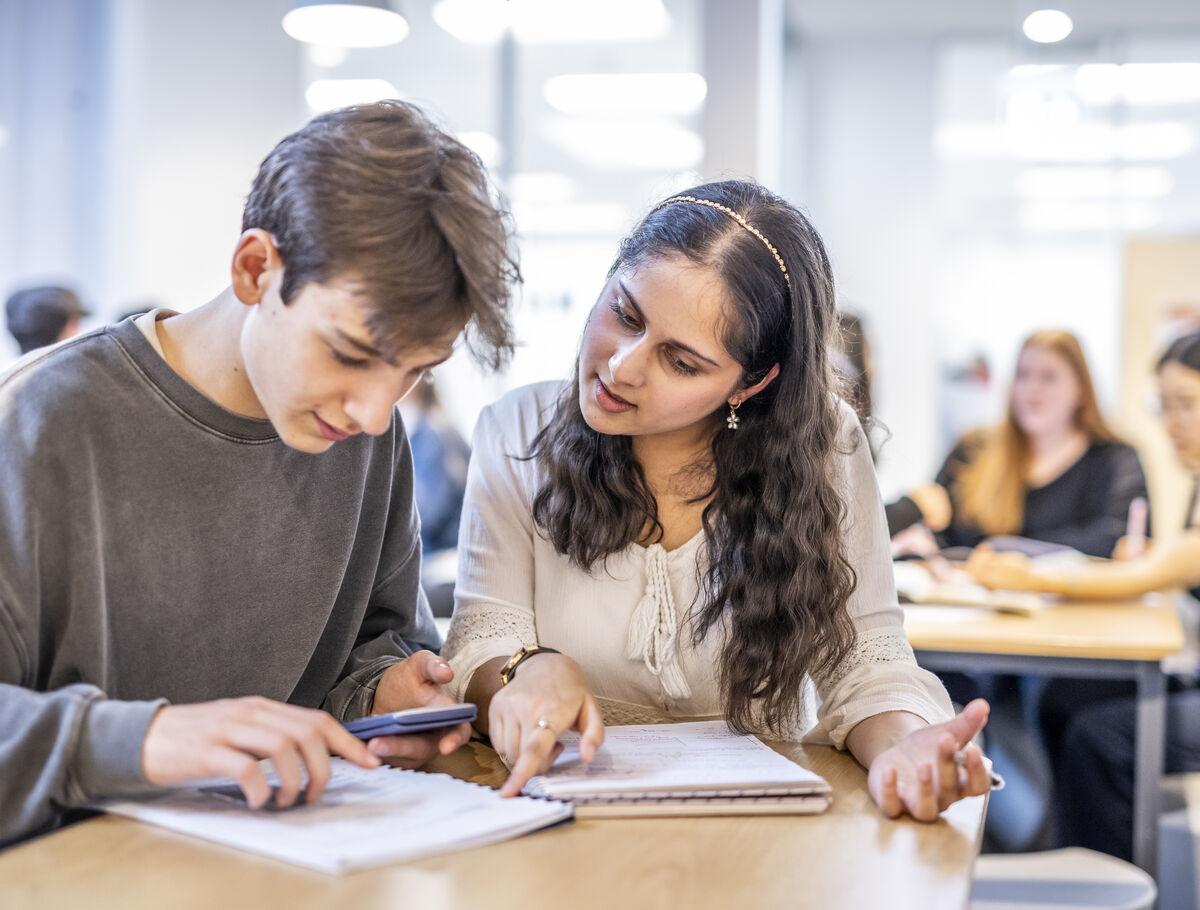 Auckland New Zealand High Schools