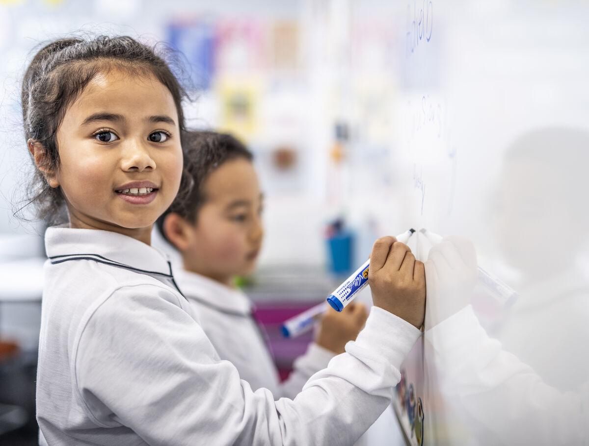 Parnell Primary Schools fees