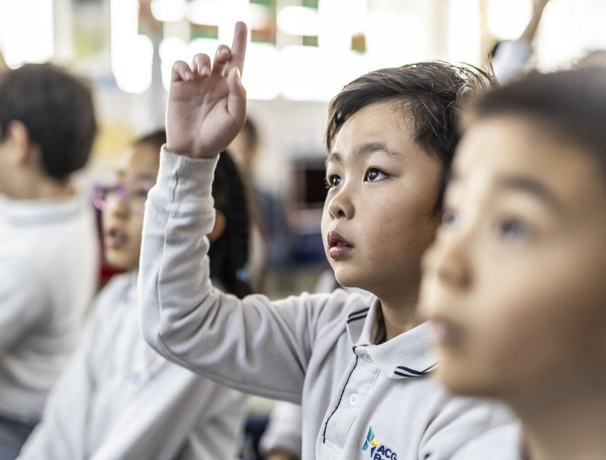 IGCSE Examinations in New Zealand