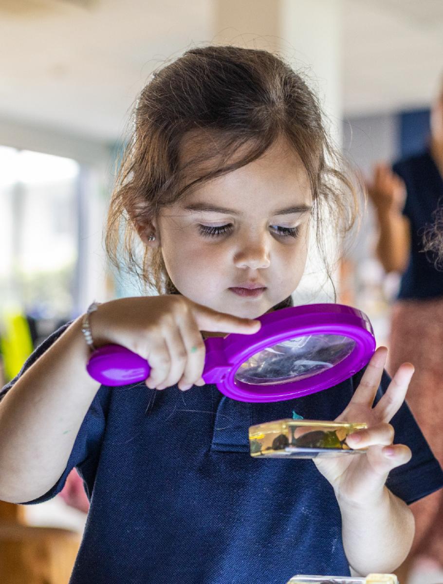 Best Preschools in Auckland promo