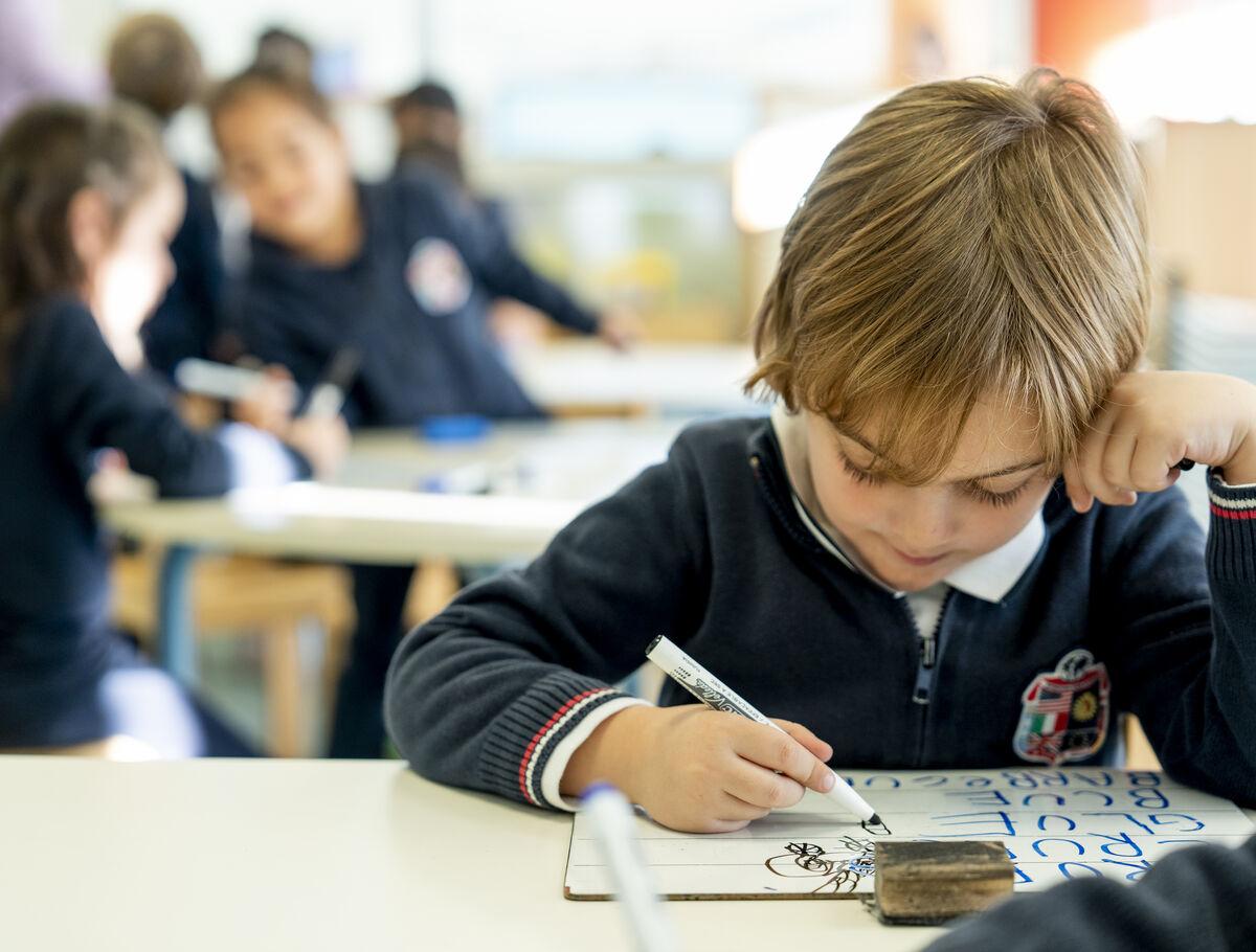educación única