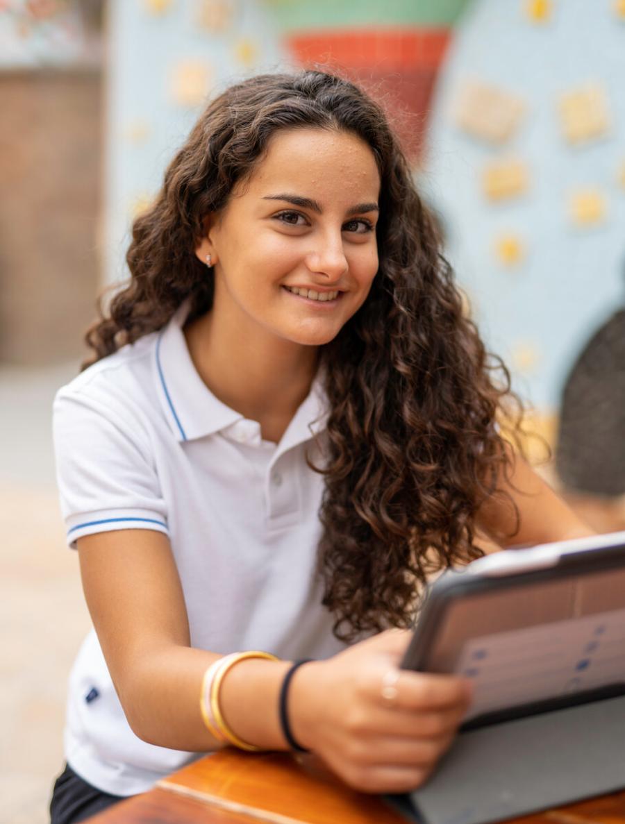 IBDP and skills development
