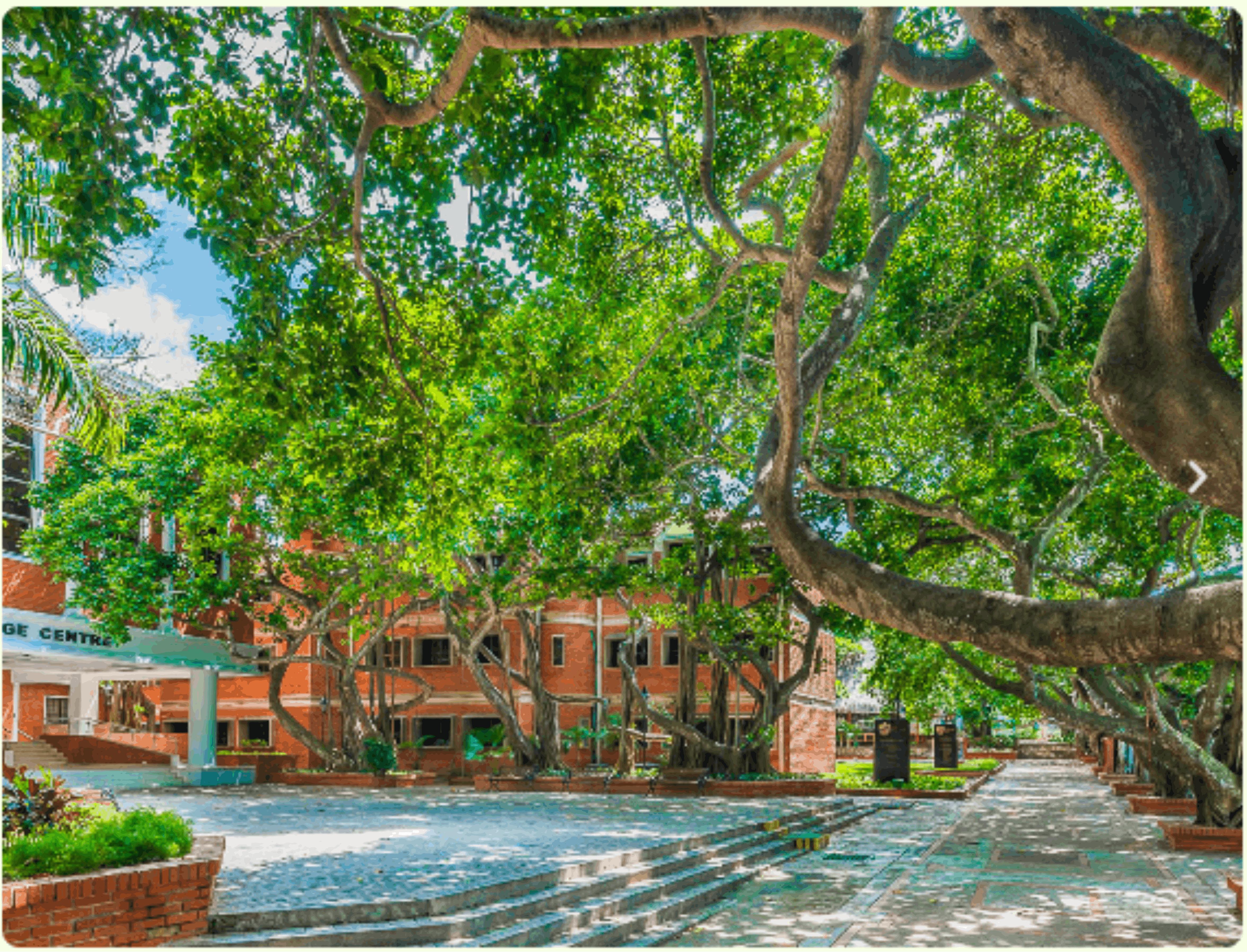 Green Spaces 7