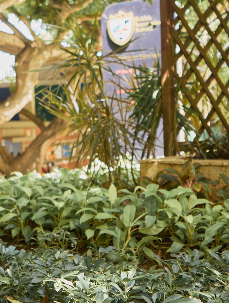 71098_pastoral_photo_4.jpg