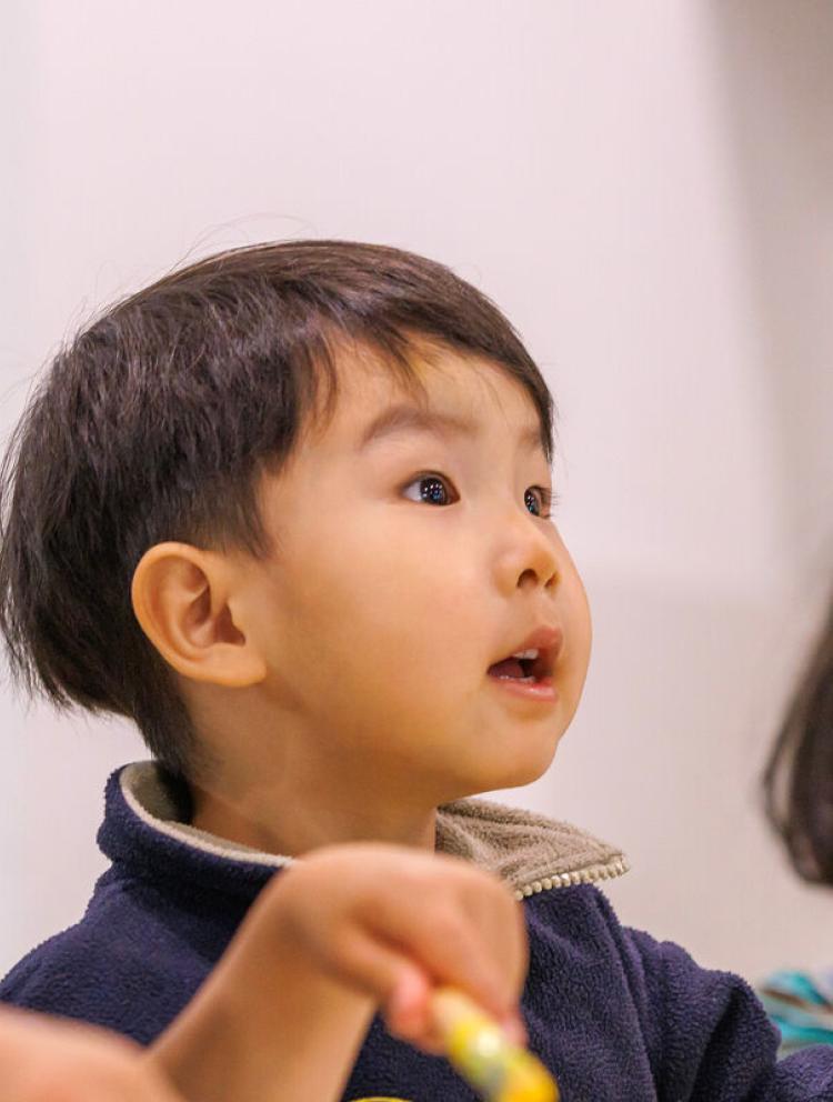 Preschools in St Leonards