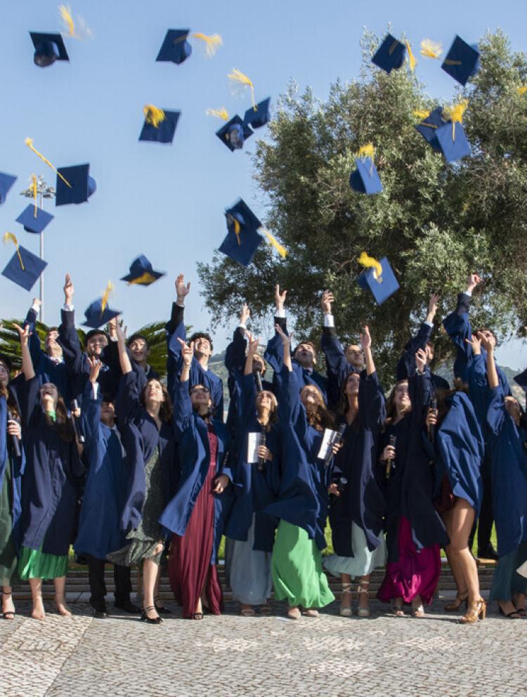 university admissions top colleges