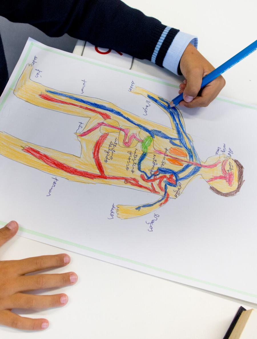 International Primary School near me