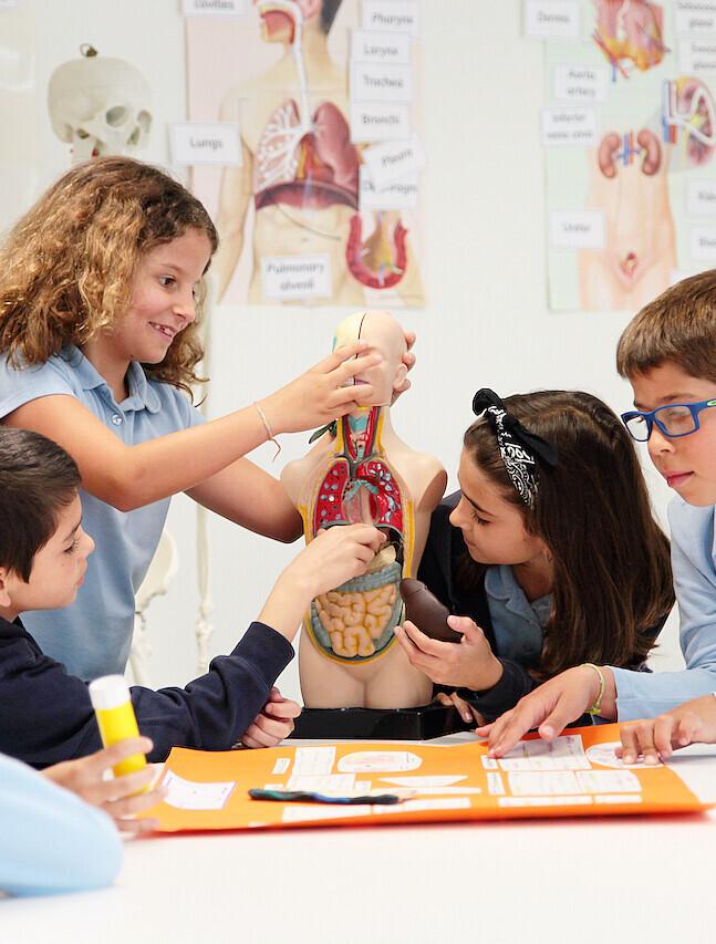 Lisbon Elementary School learning