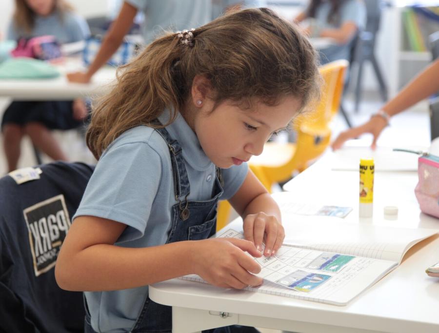 Primary School in Praca de Espanha