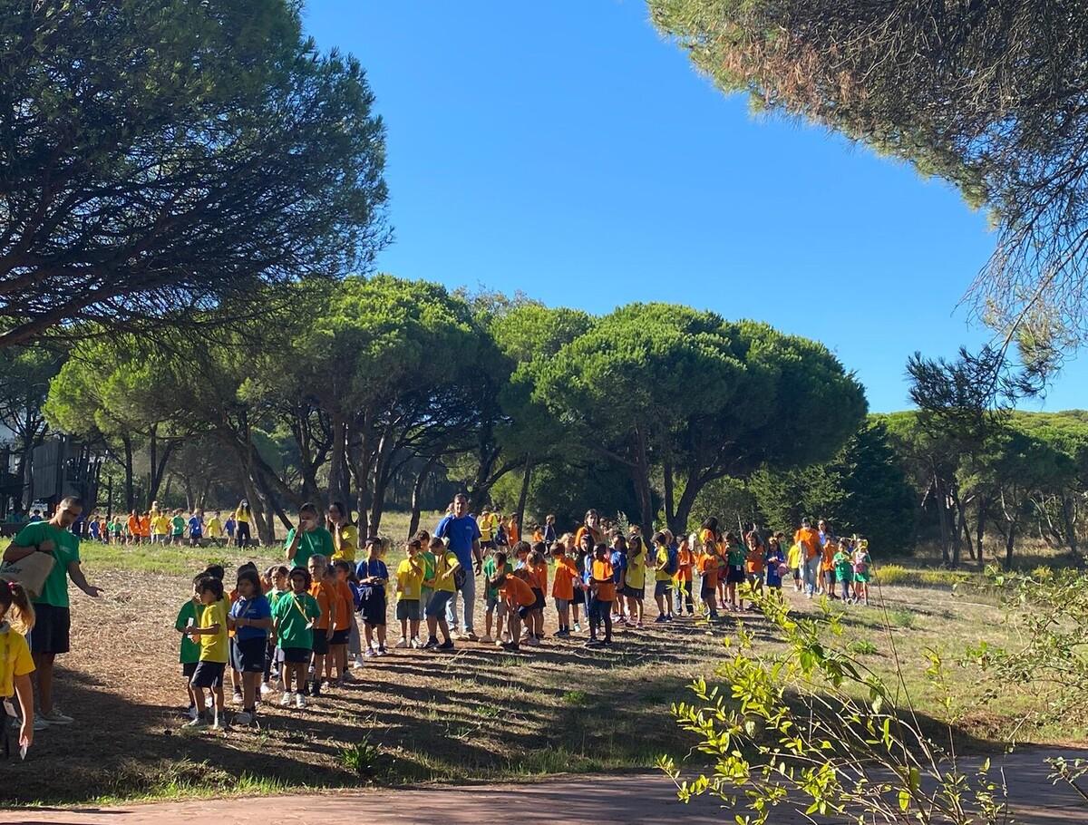 house system sense of belonging