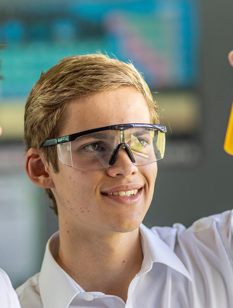 high schools in tauranga