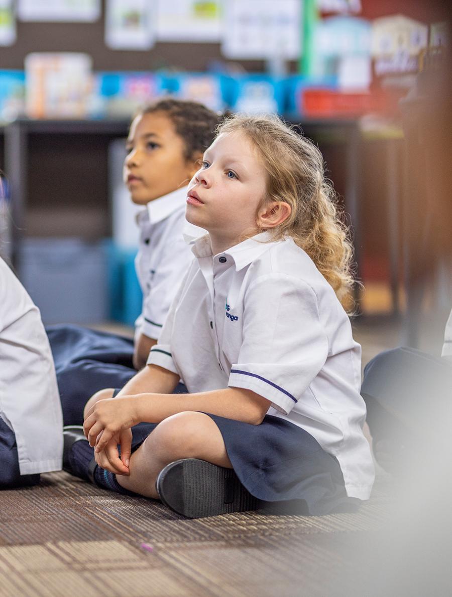 Primary school in Tauranga