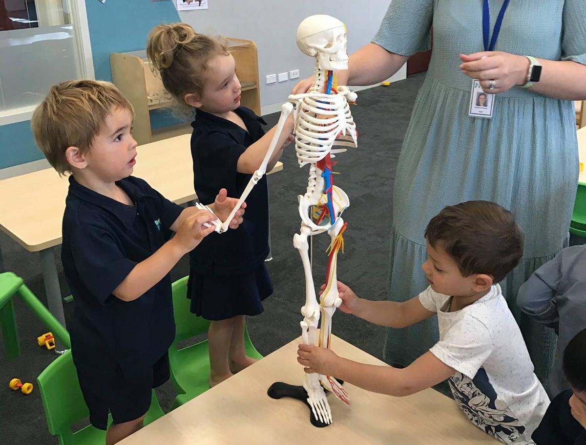 Te Whāriki curriculum near me