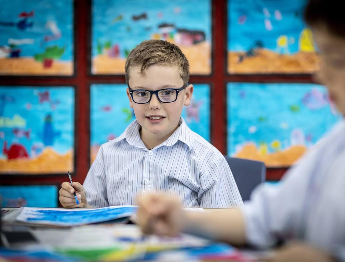 primary school fees in bay of plenty