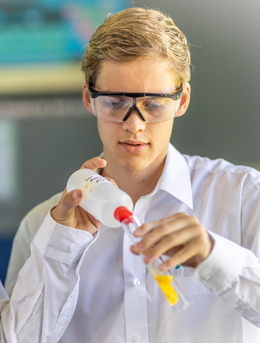 best IGCSE curriculum in the city of Tauranga