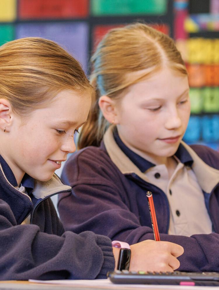 primary schools in Woollahra