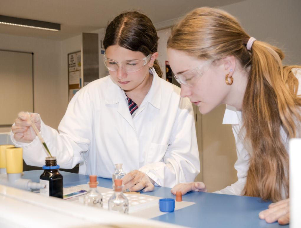 Pozuelo los mejores colegios
