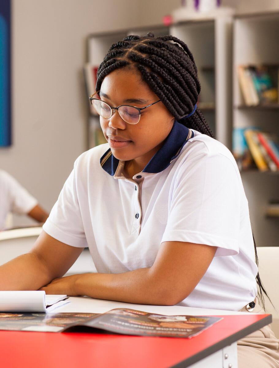 Gauteng High schools programme