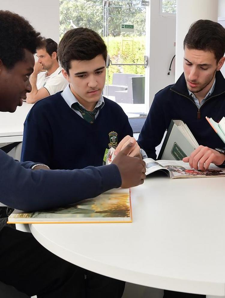 Cambridge IGCSE schools in Setubal
